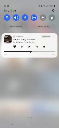 PlayerPro Music Player (Pro) screenshot 7