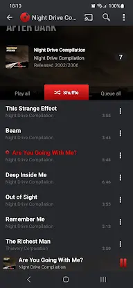 PlayerPro Music Player (Pro) screenshot 5