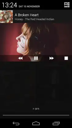 PlayerPro Music Player Legacy screenshot 8