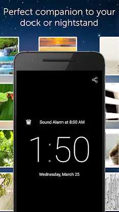 White Noise Pro screenshot 4