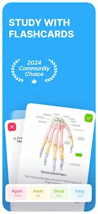 Noji – Flashcards study app screenshot 1