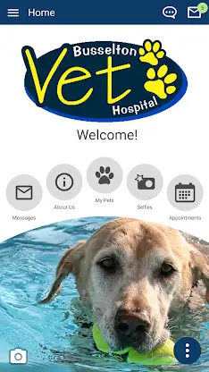 Busselton Vet screenshot 1