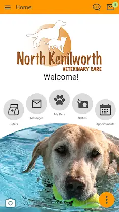 North Kenilworth Vet screenshot 1