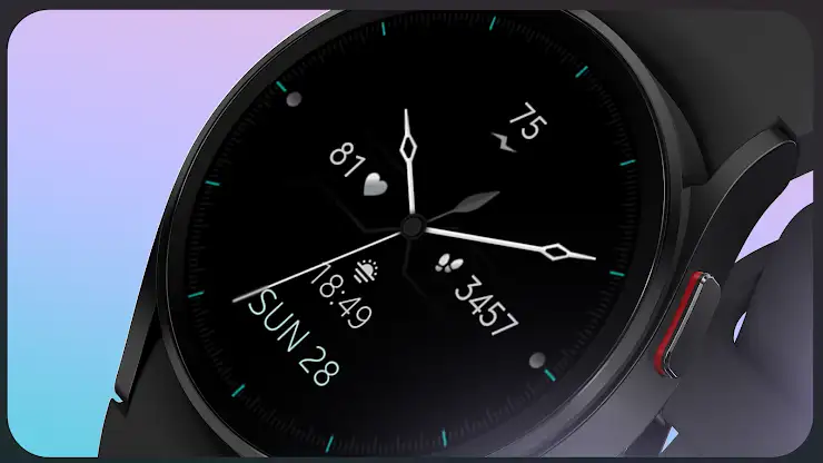 Elegant Analog Watch Face screenshot 6