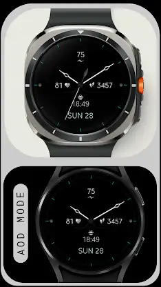 Elegant Analog Watch Face screenshot 5