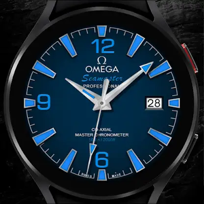 Omega Seamaster Professional screenshot 8