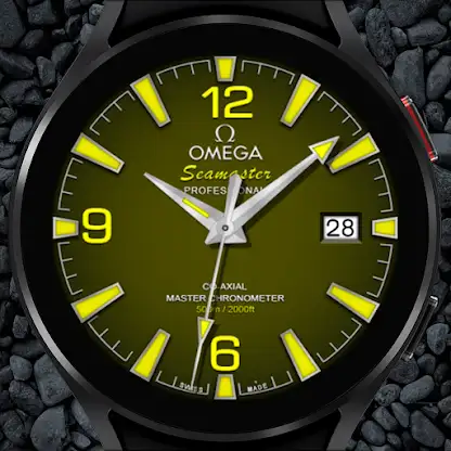 Omega Seamaster Professional screenshot 5