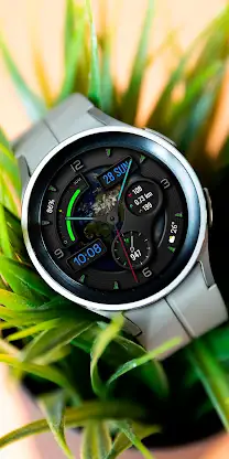 TARDONA WS22 Watch face screenshot 6