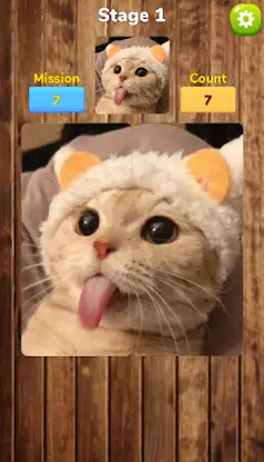 [365fun] Matching Puzzle P screenshot 4