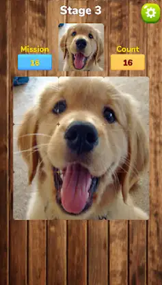 [365fun] Matching Puzzle P screenshot 6