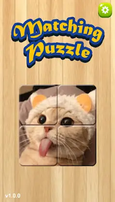 [365fun] Matching Puzzle P screenshot 1