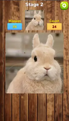[365fun] Matching Puzzle P screenshot 5