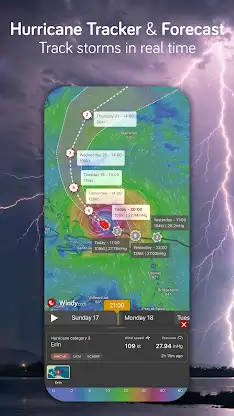 Windy.com - Weather Forecast screenshot 5