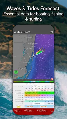 Windy.com - Weather Forecast screenshot 7