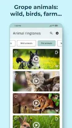 Animal Sounds and Ringtones screenshot 3