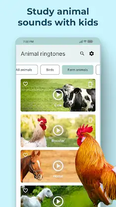 Animal Sounds and Ringtones screenshot 4