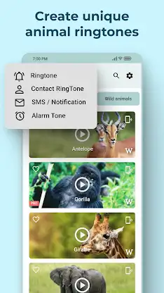Animal Sounds and Ringtones screenshot 7