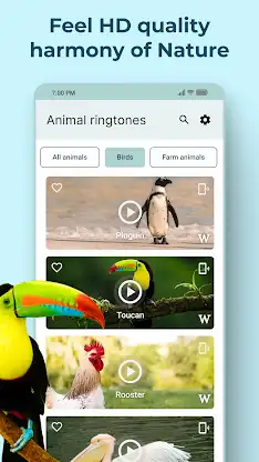Animal Sounds and Ringtones screenshot 6