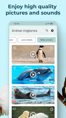 Animal Sounds and Ringtones screenshot 5