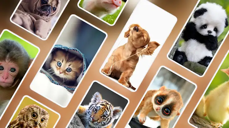 Cute Animal Wallpapers 4K screenshot 1