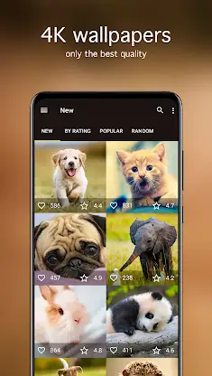 Cute Animal Wallpapers PRO screenshot 2