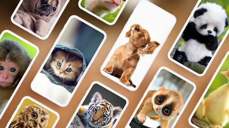 Cute Animal Wallpapers PRO screenshot 1