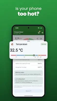 Charge Meter screenshot 3