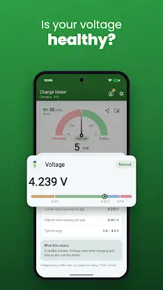 Charge Meter screenshot 6