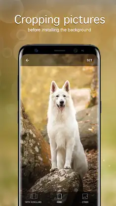 Dog Wallpapers & Puppy 4K screenshot 4