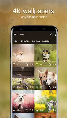 Dog Wallpapers & Puppy 4K screenshot 2