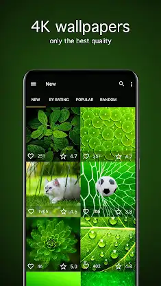 Green Wallpapers 4K screenshot 2