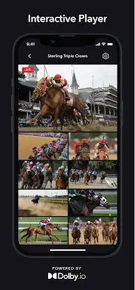 Dolby.io Interactive Player screenshot 1