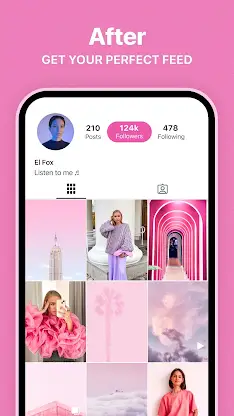 Preview for Instagram Feed screenshot 4