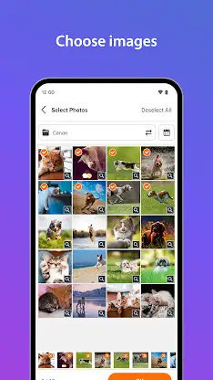 SELPHY Photo Layout screenshot 3