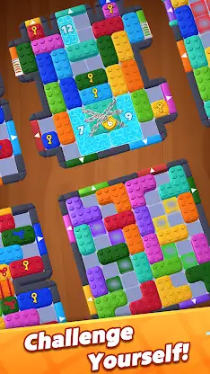Wood Block Mania - No Timer screenshot 3