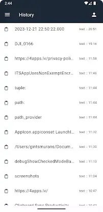 Copasty screenshot 2