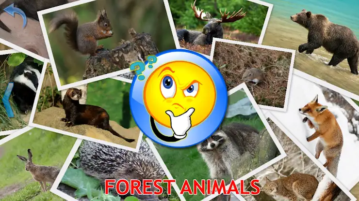 Animals for Kids screenshot 5