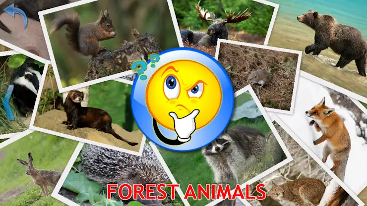 Kids Learn About Animals screenshot 5