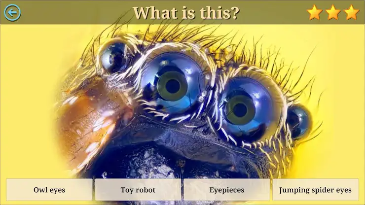 Microcosm Secrets Quiz screenshot 5