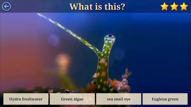 Microcosm Secrets Quiz screenshot 7