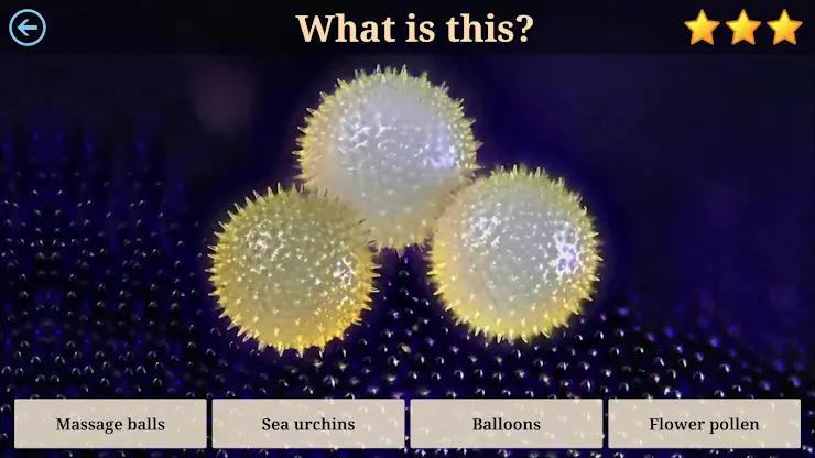 Microcosm Secrets Quiz screenshot 4