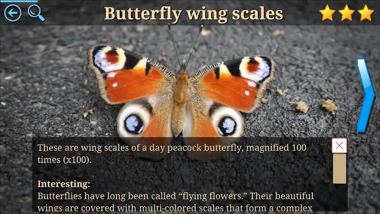 Microcosm Secrets Quiz screenshot 3