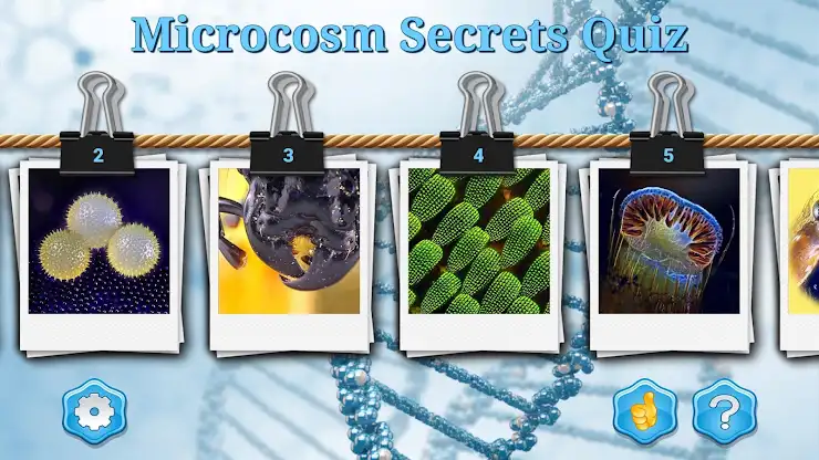 Microcosm Secrets Quiz screenshot 1