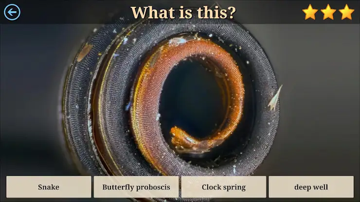 Microcosm Secrets Quiz screenshot 6