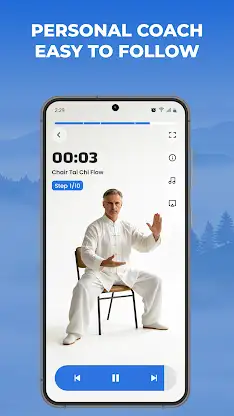 Chair Tai Chi for Seniors screenshot 4
