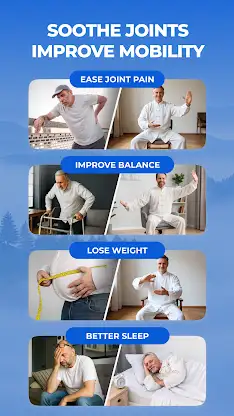 Chair Tai Chi for Seniors screenshot 3