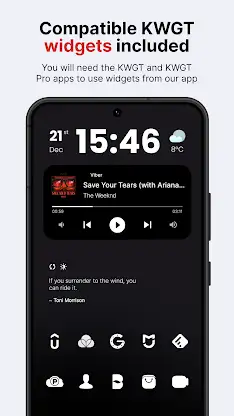 Lena White: Glyph Icon Pack screenshot 3