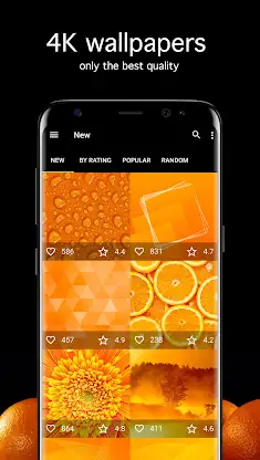 Orange Wallpapers 4K screenshot 1