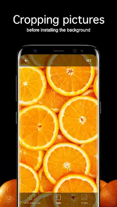 Orange Wallpapers 4K screenshot 3