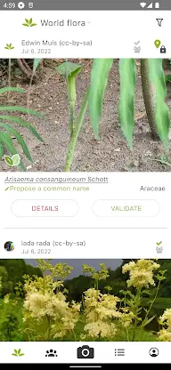 PlantNet Plant Identification screenshot 4